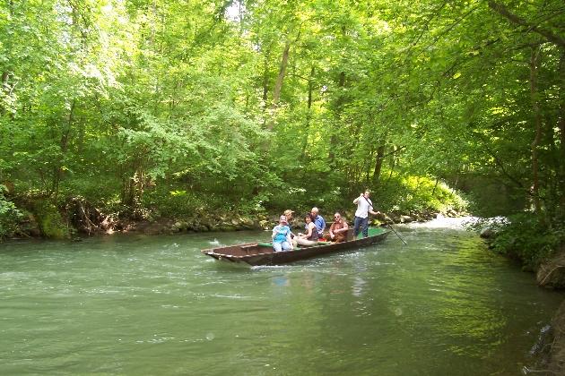 Bild 035.jpg - Eine geführte Kahnfahrt auf der verzweigten Flußlandschaft des Naturschutzgebietes Taubergießen